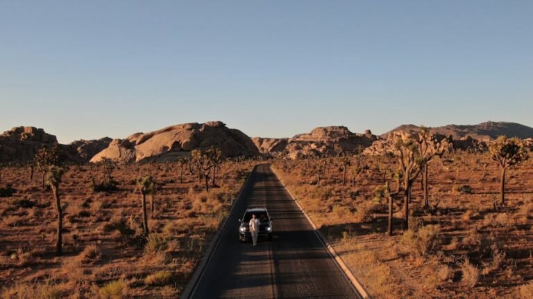 Beyond Physical Dangers: Mastering Psychological Safety for Your California Trip