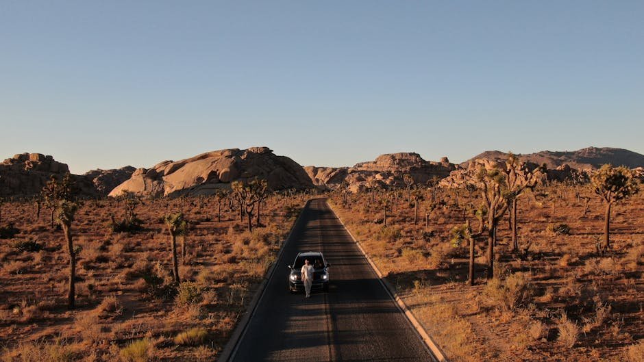 Beyond Physical Dangers: Mastering Psychological Safety for Your California Trip