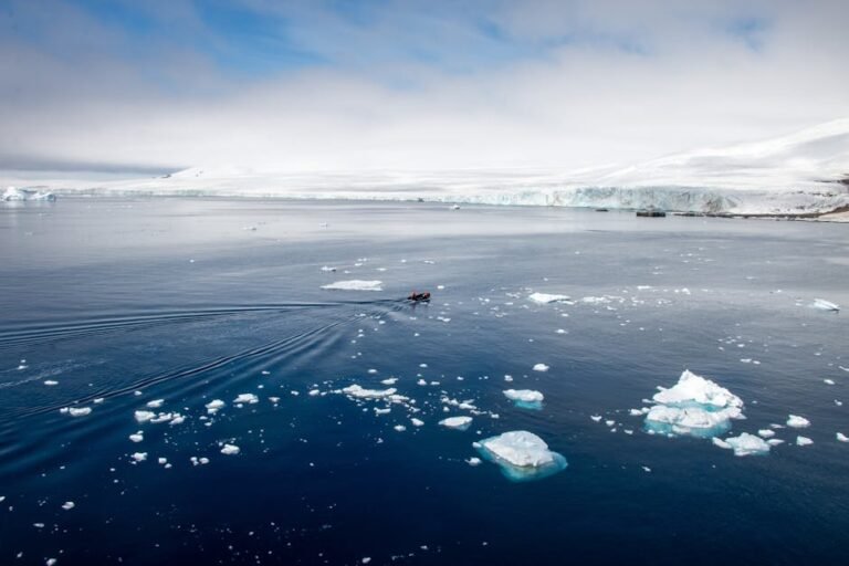 Ernest Shackleton's Endurance: Leadership Lessons for California Adventures