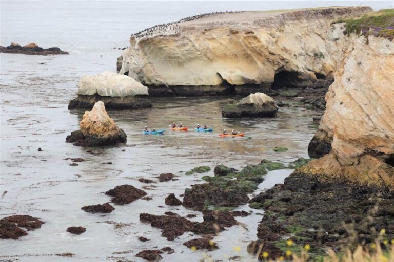Unforgettable California Ocean Kayaking Adventures: Lessons from Epic Expeditions