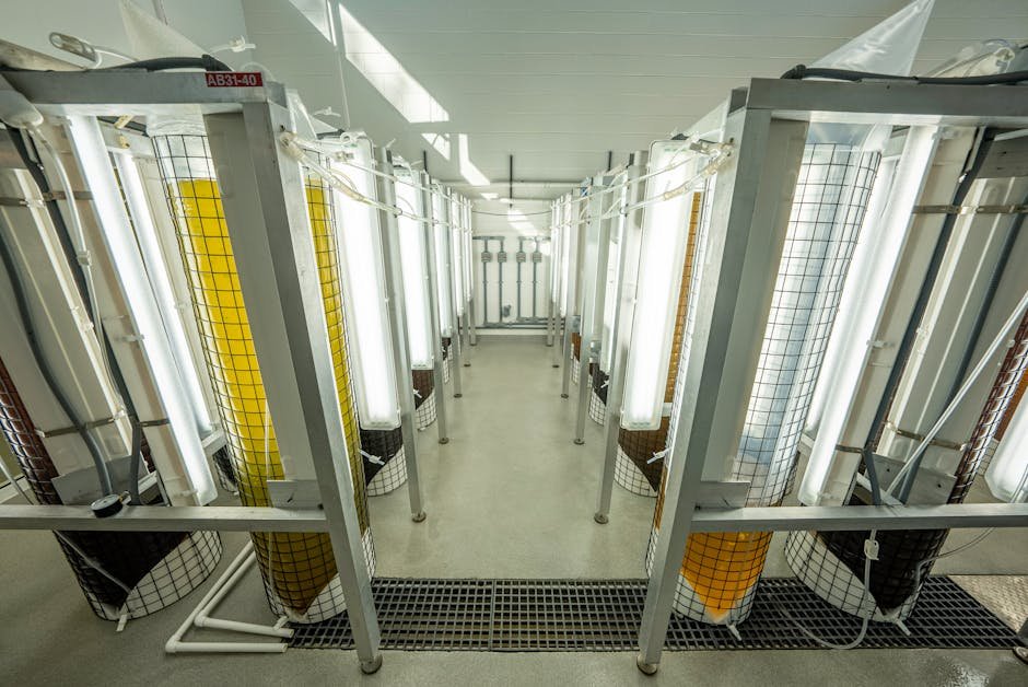 California's Science Frontier: Exploring Innovation at Lawrence Livermore Lab