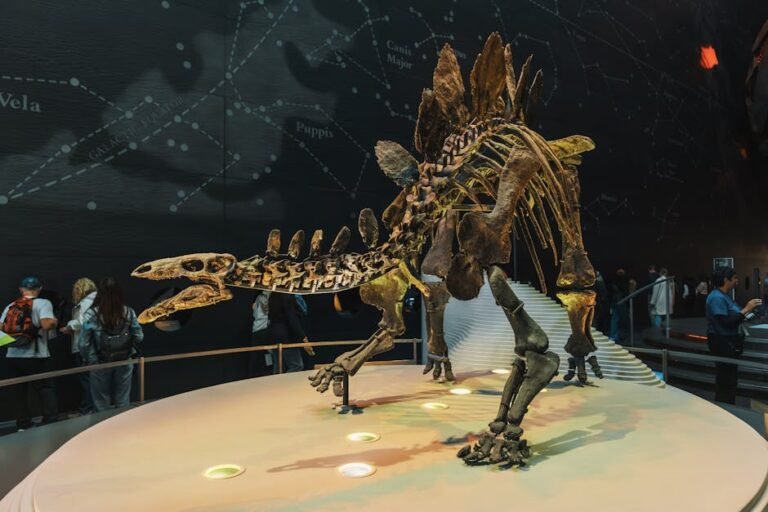 Beyond Looking: Discover California's Top Science & Stargazing Destinations