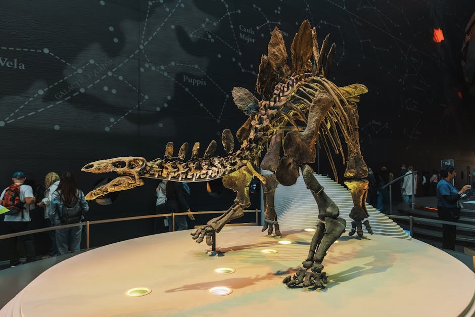 Beyond Looking: Discover California's Top Science & Stargazing Destinations