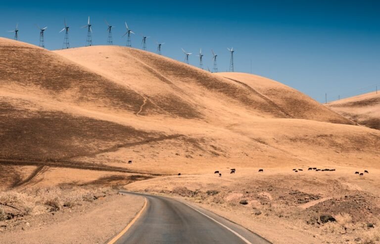 The Ripple Effect: Your Guide to Sustainable California Travel