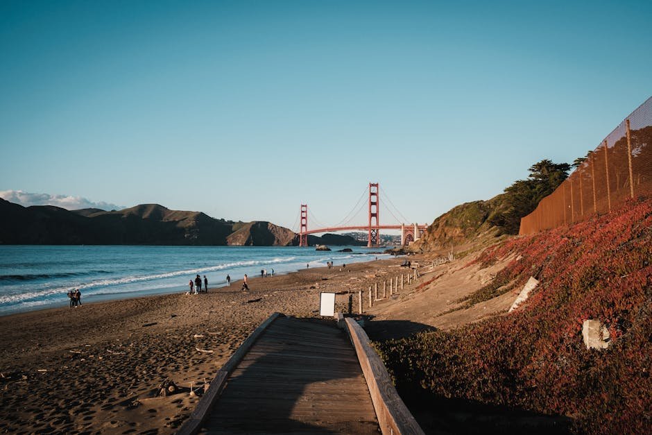 The Evolution of California Travel: Adapting to New Eras & Traveler Demands