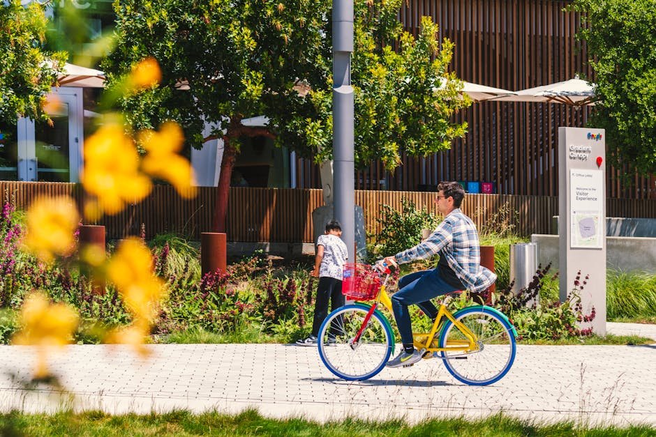 Discover Silicon Valley: The Untold Story of Intel's Rise and Evolution