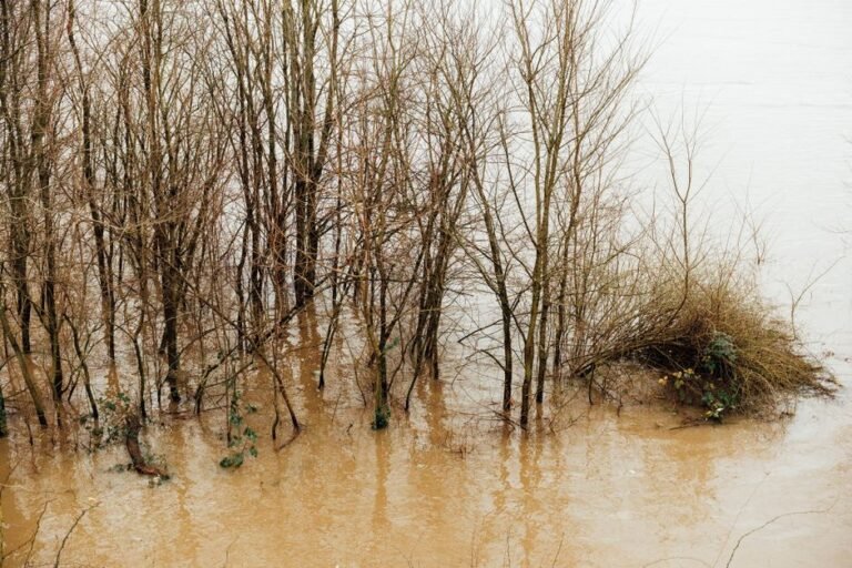 Unearthing California's Geological History: Ancient Floods and Shifting Landscapes