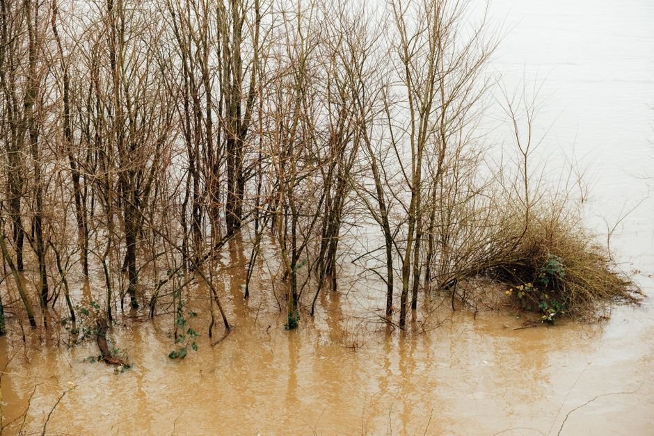 Unearthing California's Geological History: Ancient Floods and Shifting Landscapes