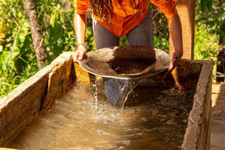 Unearthing Riches: The Allure of Gold and California's Transformative Rush