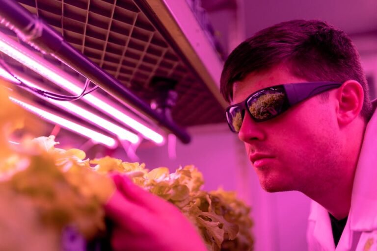 California's Culinary Revolution: The Future of Lab-Grown Meat and Sustainable Dining